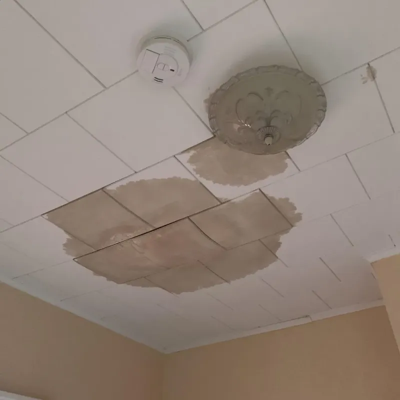 Ceiling Water Damage Repair in Fort Worth, TX