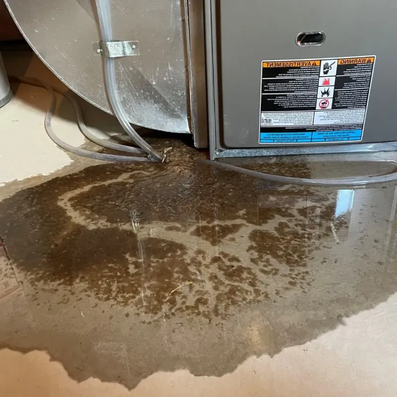 Pipe Burst and Leak Restoration in Fort Worth, TX